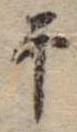 干 위치 확인됨