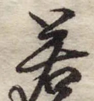 若 위치 확인됨