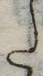 𛁠 위치 확인됨