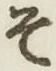 글자 そ
