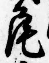 尾 위치 확인됨