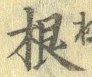 根 위치 확인됨