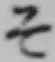 글자 そ
