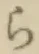 글자 ら