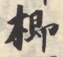 楖の位置