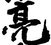 Đã định vị 亮