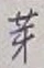 文字芽