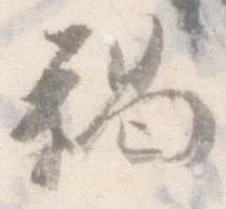 褐の位置