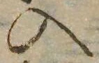 位置 確認된 入