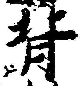 背 위치 확인됨