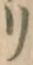 字リ