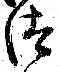已定位汰