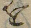 已定位𛄜