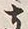 Character 支