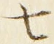 “七”字