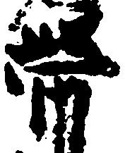 已定位帯
