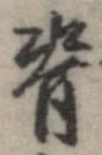 背 위치 확인됨