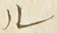字ル