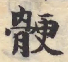 骾 위치 확인됨