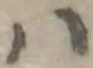 𛂞 위치 확인됨