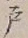 “戸”字