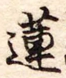 蓮 위치 확인됨