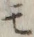 字モ