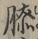 Chữ 膝