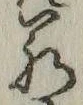 “若”字