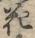 花 위치 확인됨