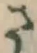 𡨸さ