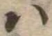 𛂞 위치 확인됨