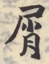 屑 위치 확인됨