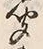 글자 聞