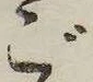 位置 確認된 ご