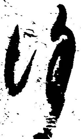 Đã định vị 謹