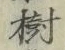 글자 樹