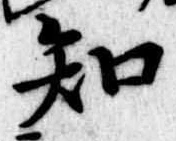 知 위치 확인됨