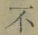 글자 不