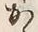 字か