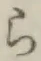 文字ら