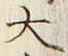 “大”字