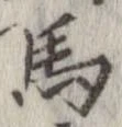 位置定マレル馬