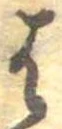 位置定マレル𛂦