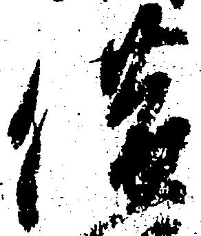 借の位置