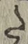 Character た