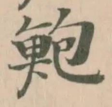 鮑の位置