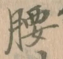 Character 腰