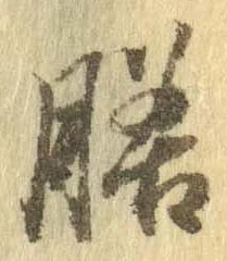 膳 위치 확인됨