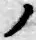 字ノ